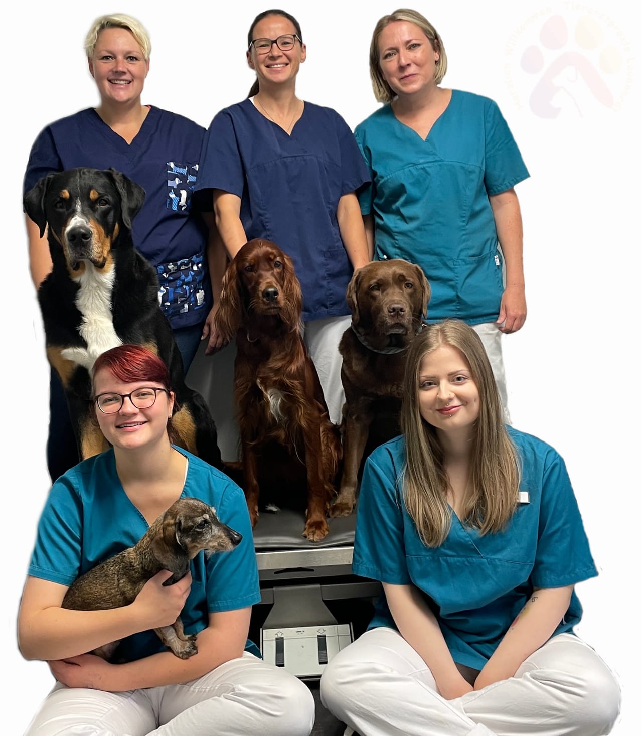 Das Team der Tierarztpraxis Launhardt