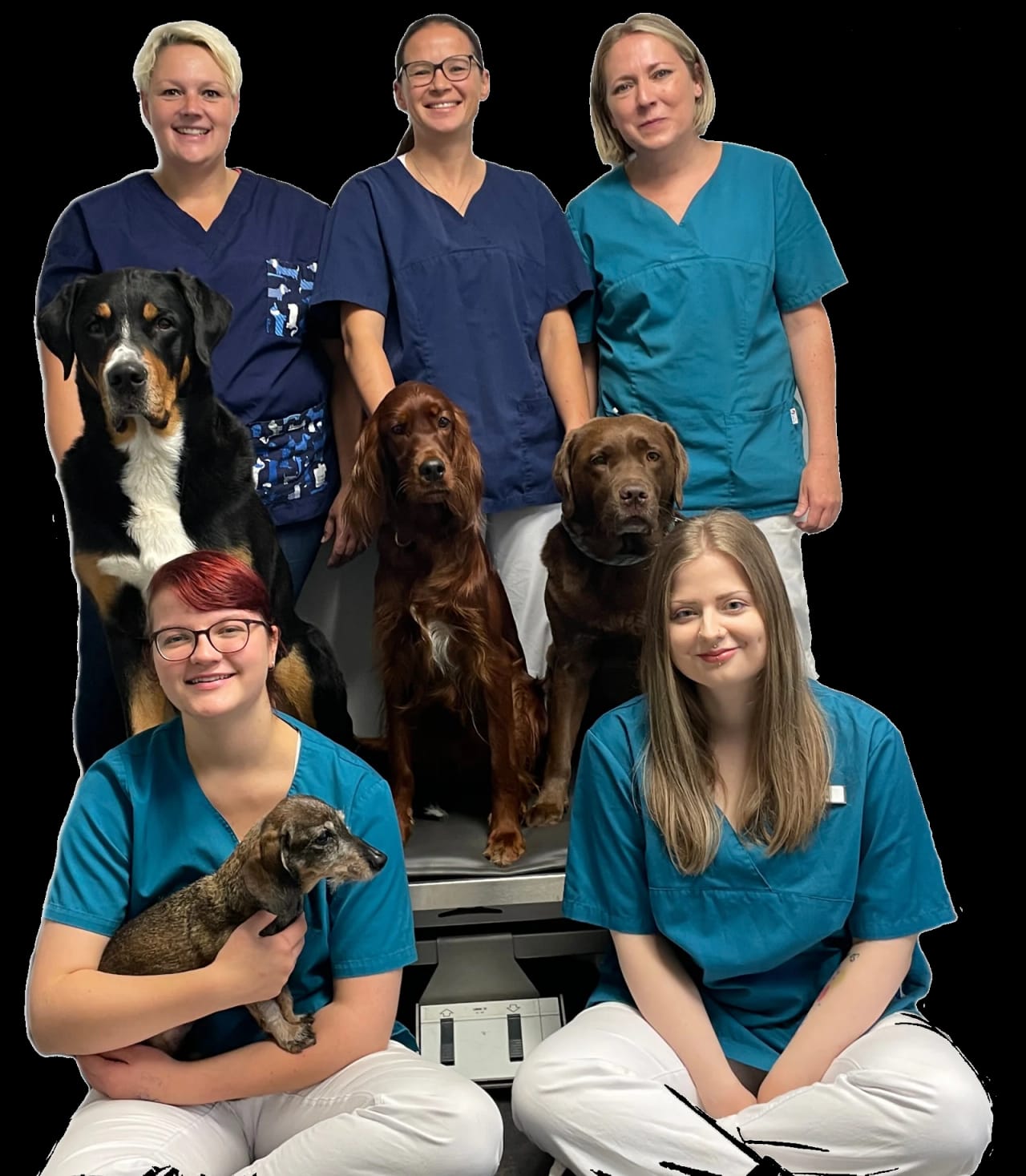 Das Team der Tierarztpraxis Launhardt